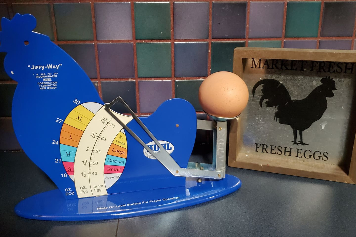 Fresh Eggs