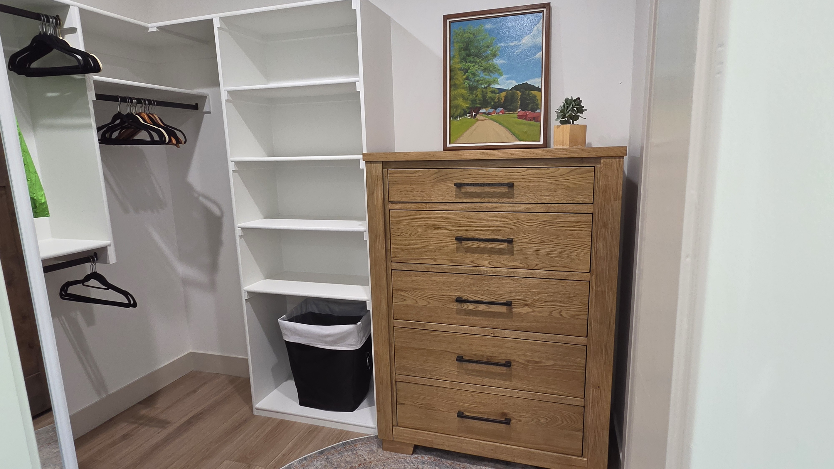 Primary Bedroom 1 closet