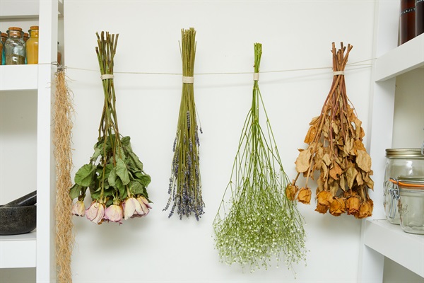 Dried herbs and flowers