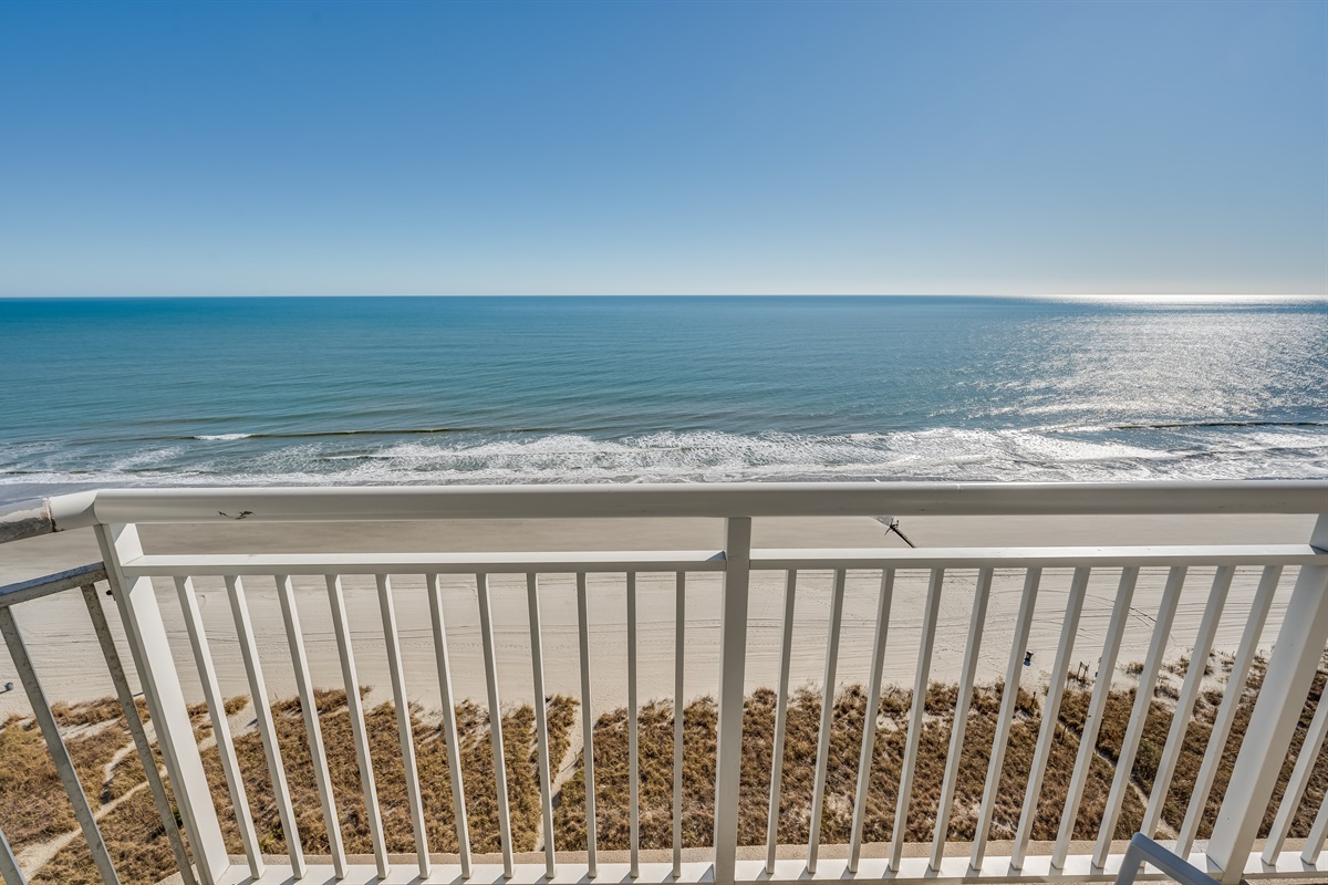 Amazing View from the Balcony!