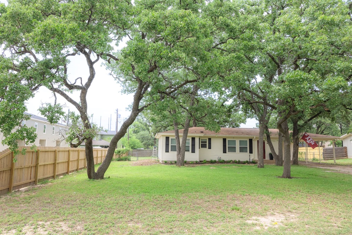 Front Yard