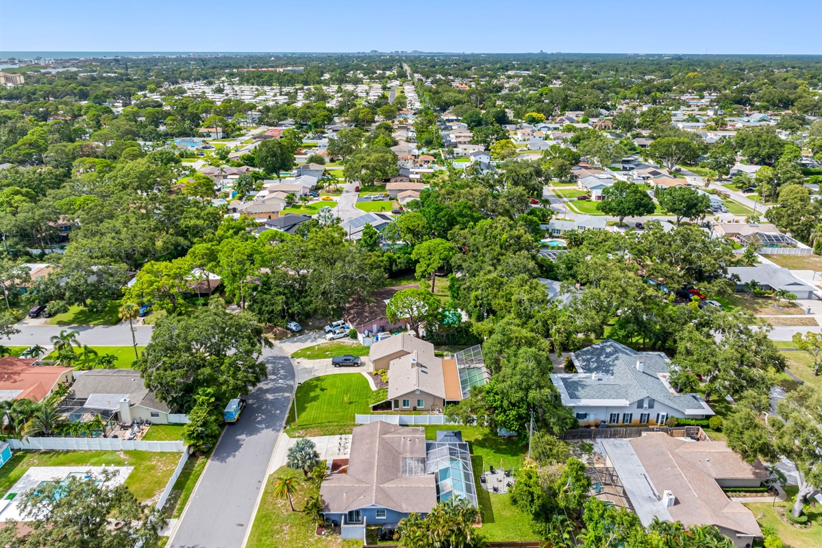 Aerial View of the Neighborhood
