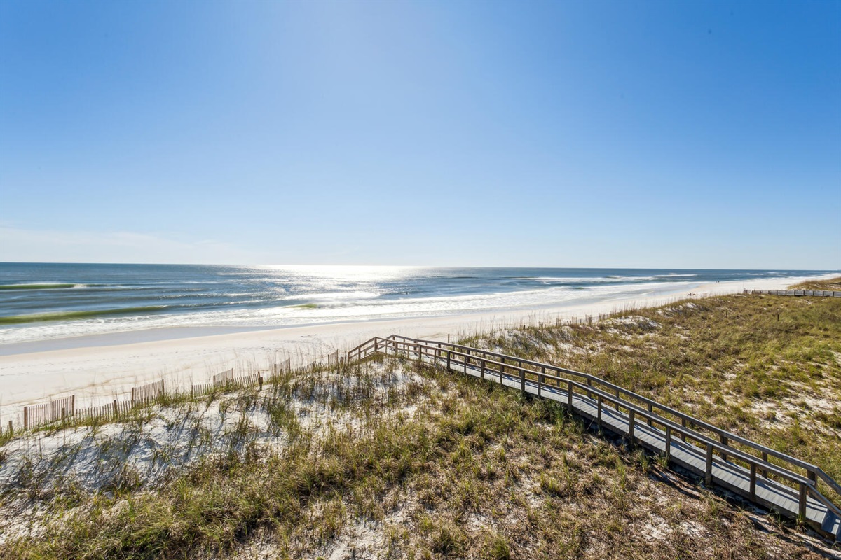 Boarded walk over visible from unit.