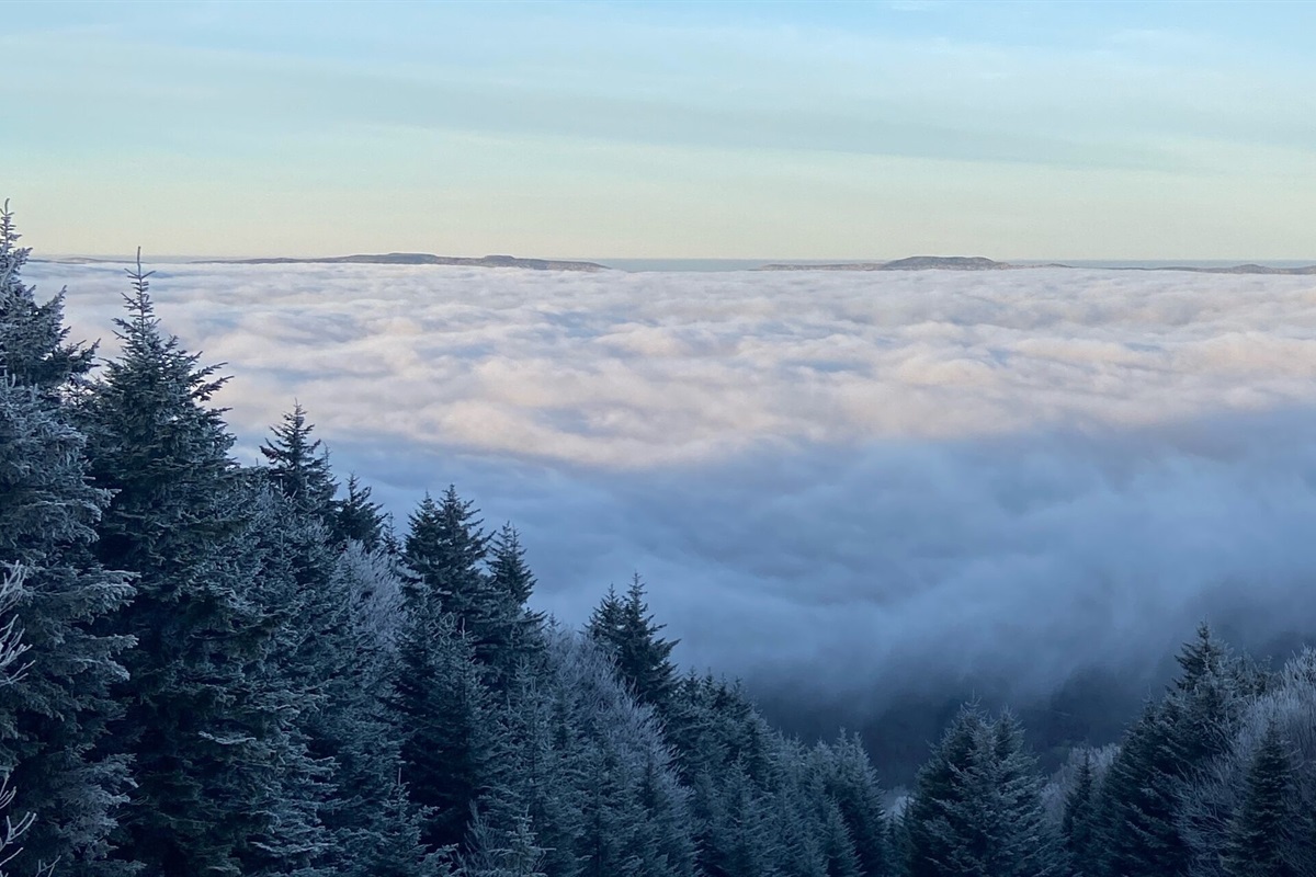 This is why Snowshoe is referred to as "The Island in the Sky." 