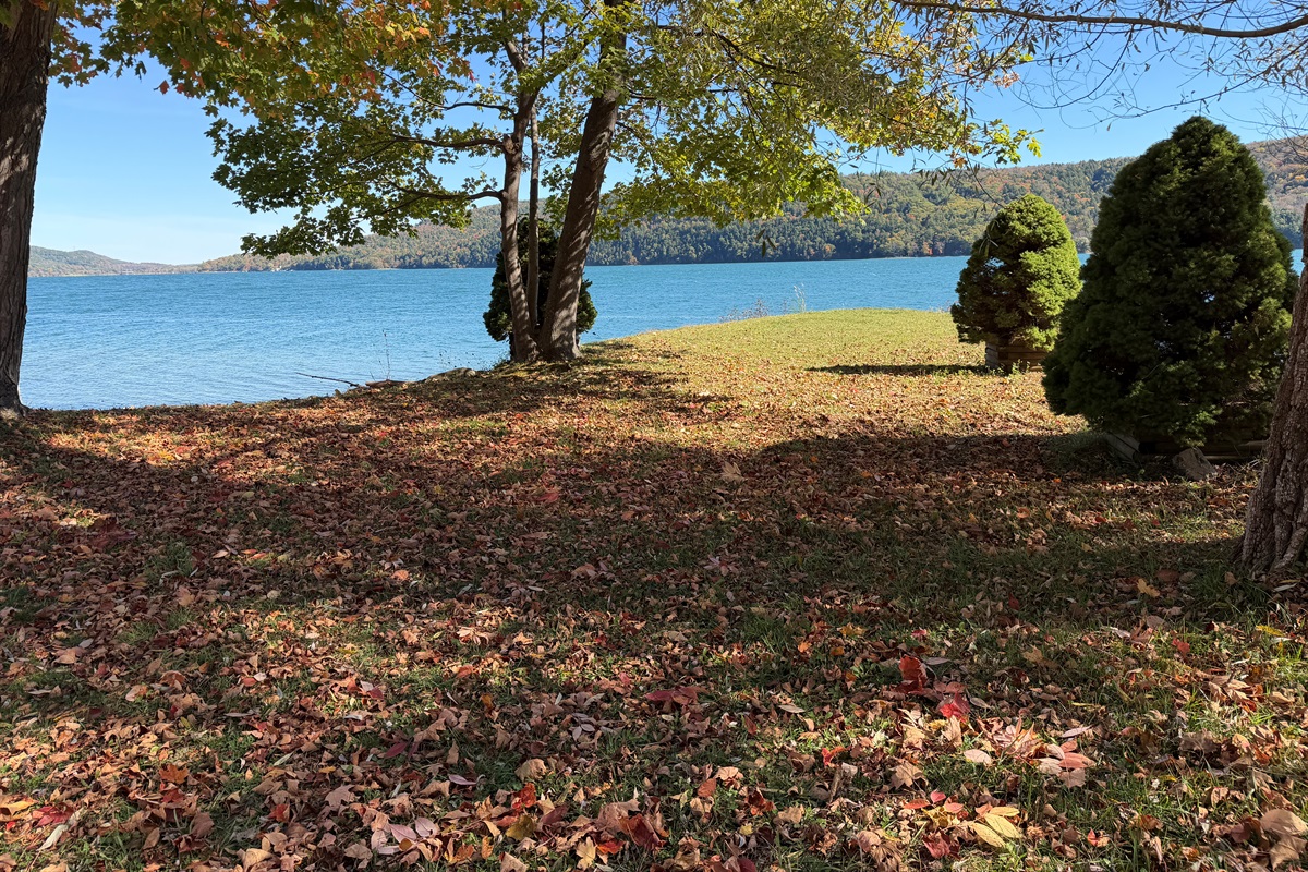 Shared waterfront on Otsego Lake