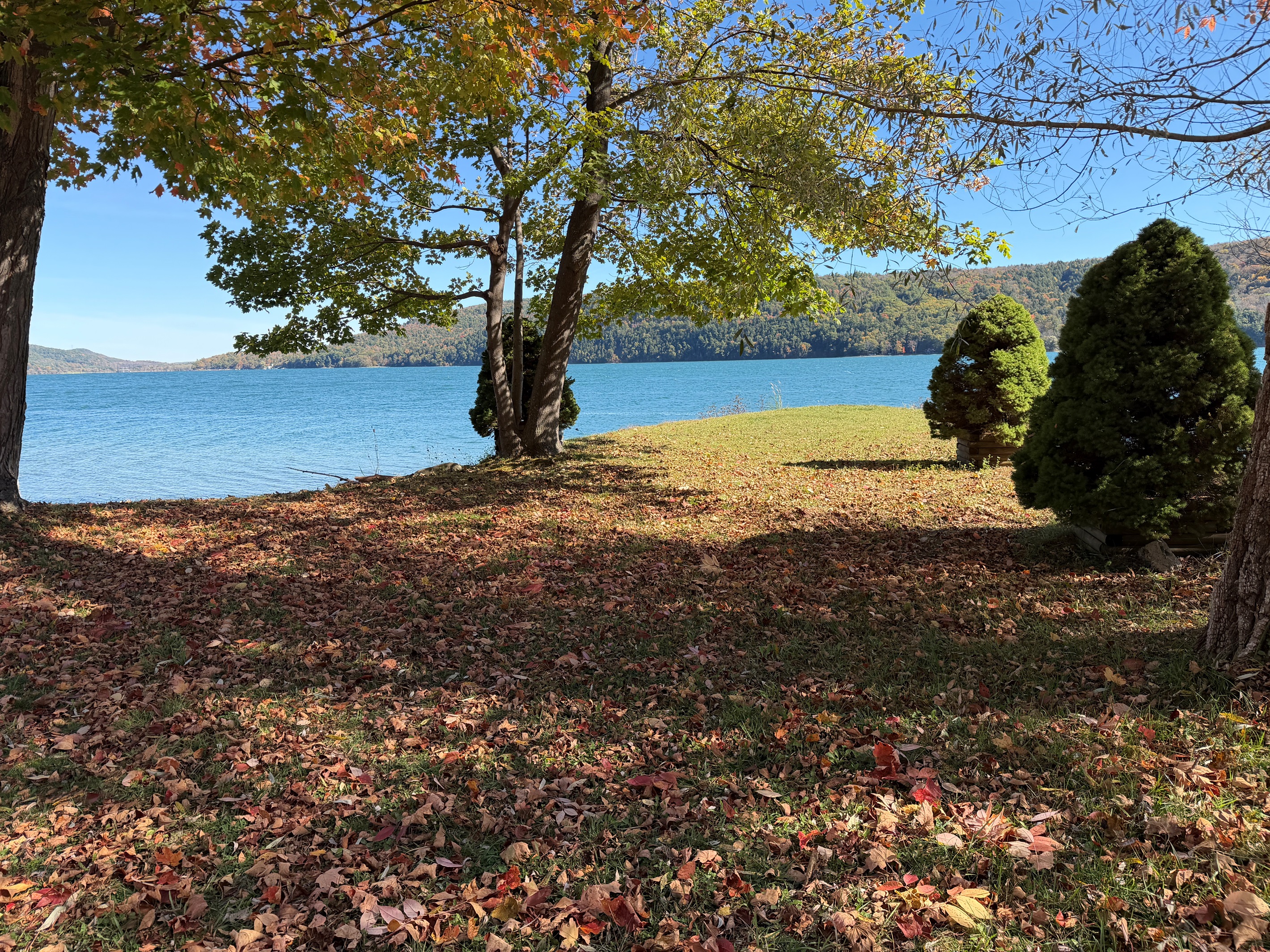 Shared waterfront on Otsego Lake