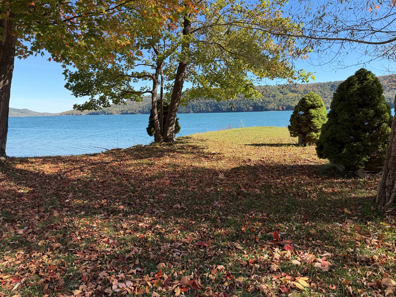Shared waterfront on Otsego Lake