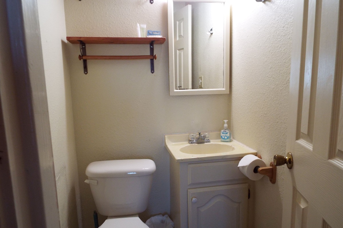 Master Bath has tub-shower combo