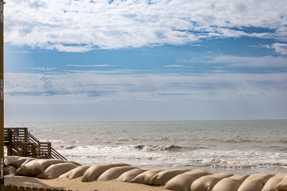 Welcome to The Lazy Loggerhead