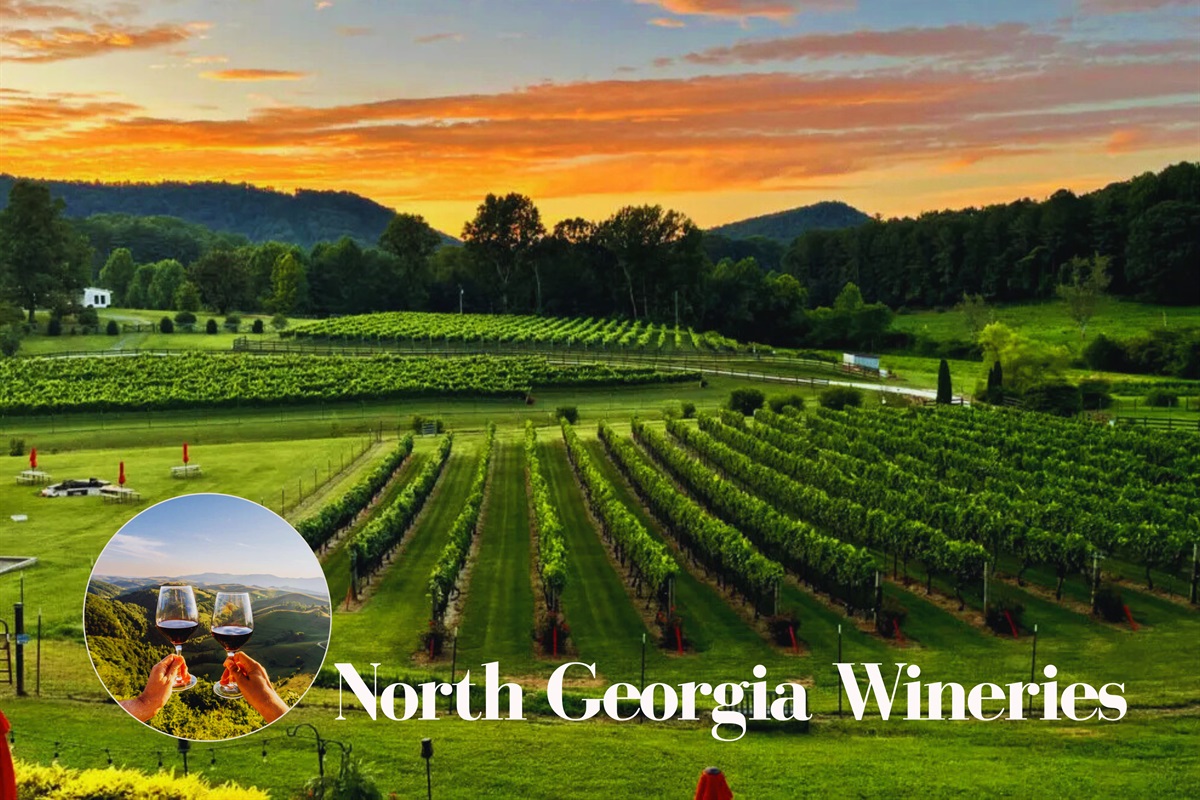 Sip, relax, and soak in the views at North Georgia&rsquo;s scenic wineries. Enjoy award-winning wines, live music, and mountain charm, perfect for a laid-back afternoon.