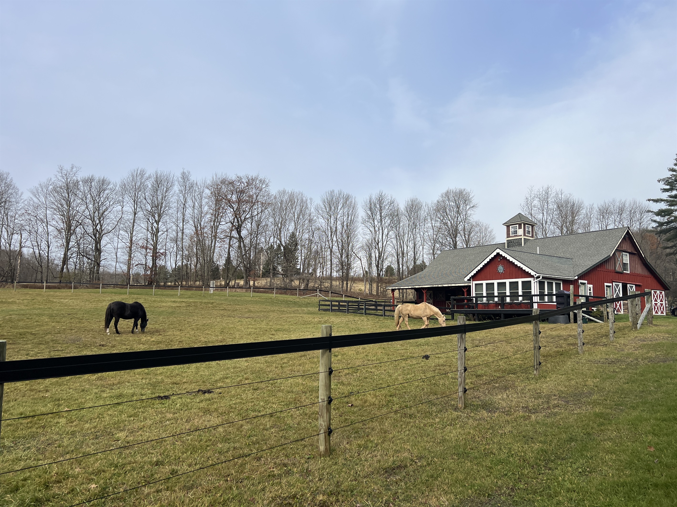 Horse Haven view as you drive into the driveway.
