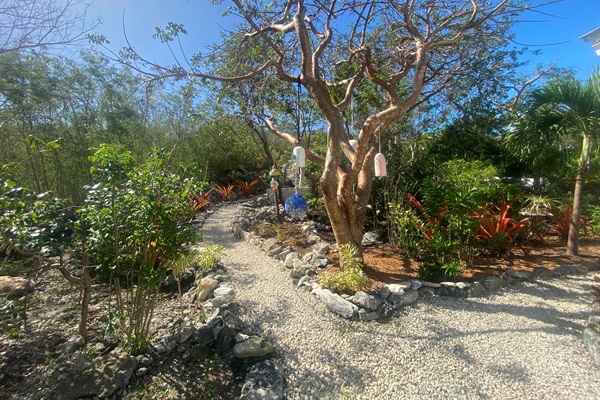 The Buoy Tree