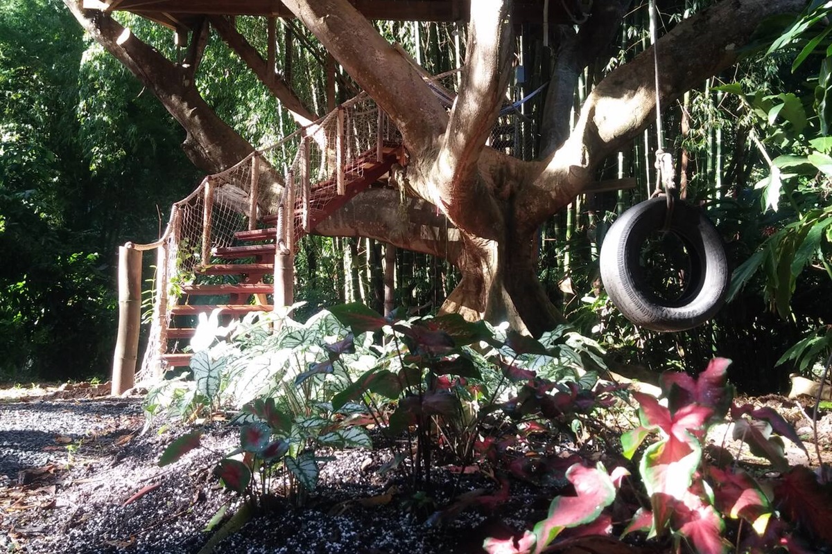 Enchanting!