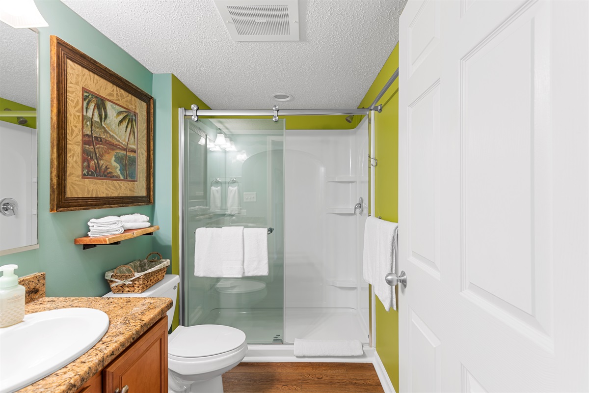 Hall Bathroom