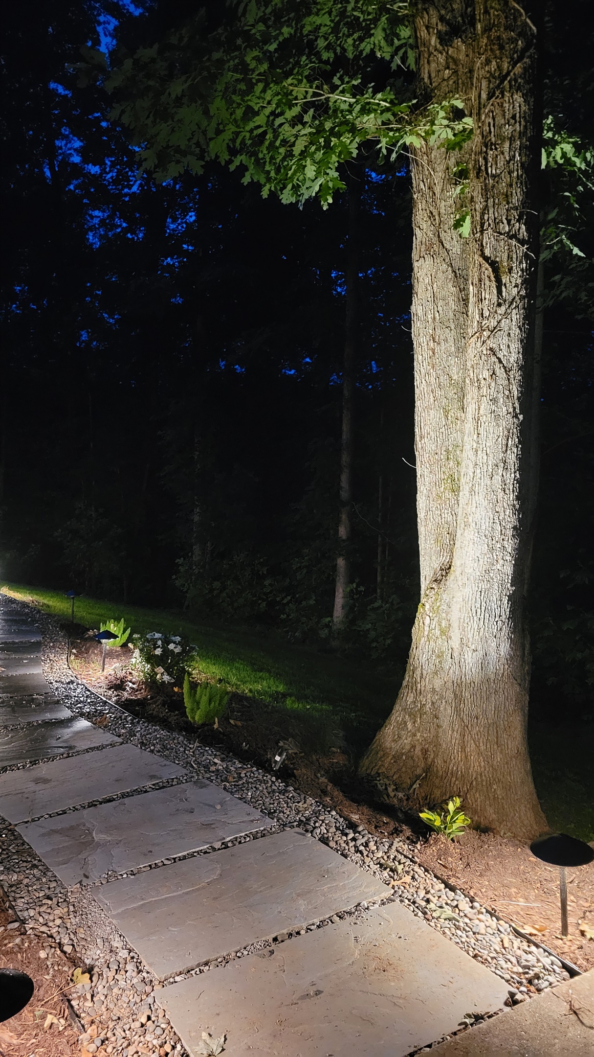 Landscape lights light the way to the hot tub patio, evening view