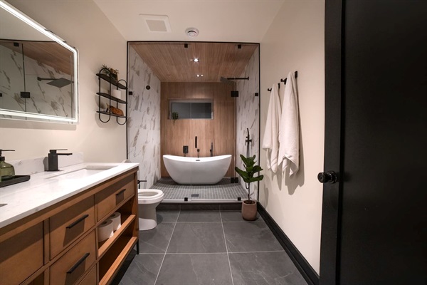 Basement bathroom double sink shower room