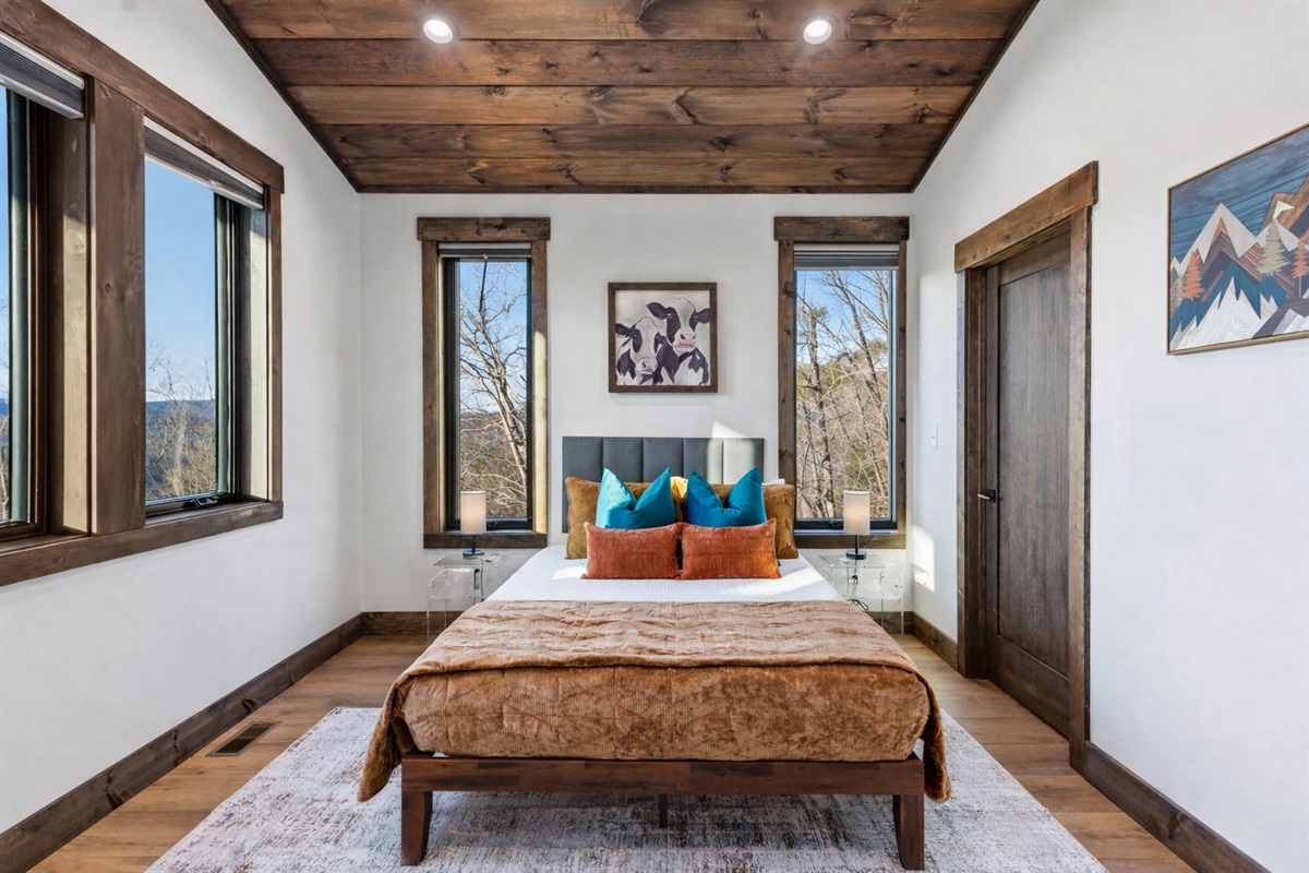 Nature feels close, even indoors.