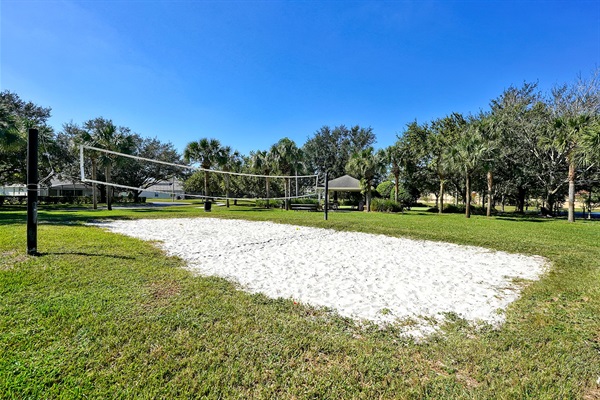 Volleyball Court