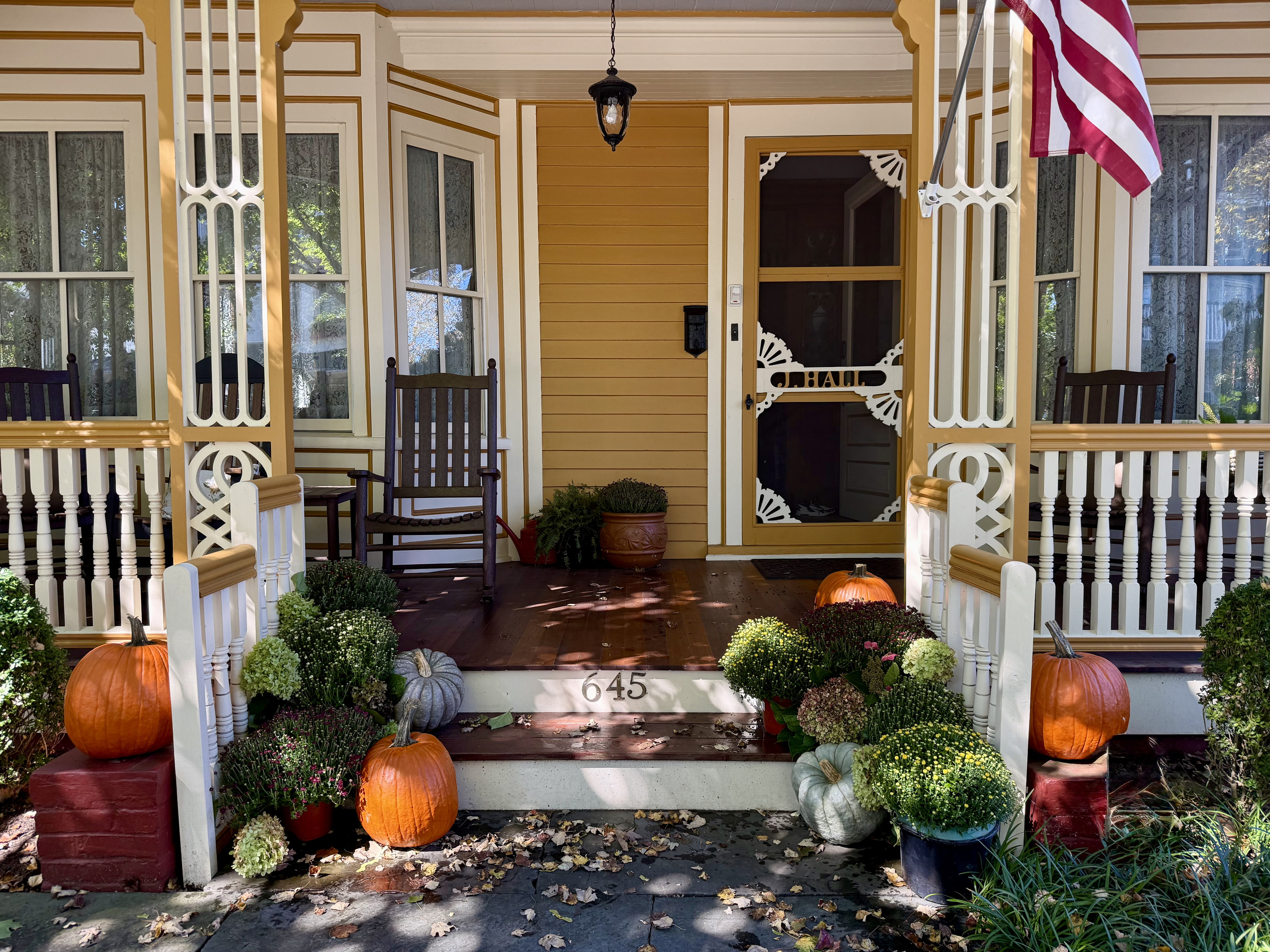 The fall season has arrived along with fall migration! The whole town is in full Autumn splendor!