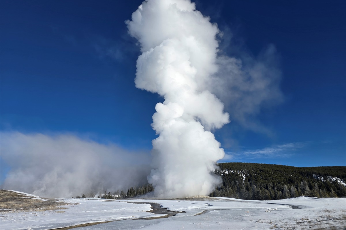 Winter's quiet amplifies the power of Old Faithful, erupting through snow and mist. After a day of exploring the park's wonders, gather at the Lodge for a cozy night by the fire in your home away from home.