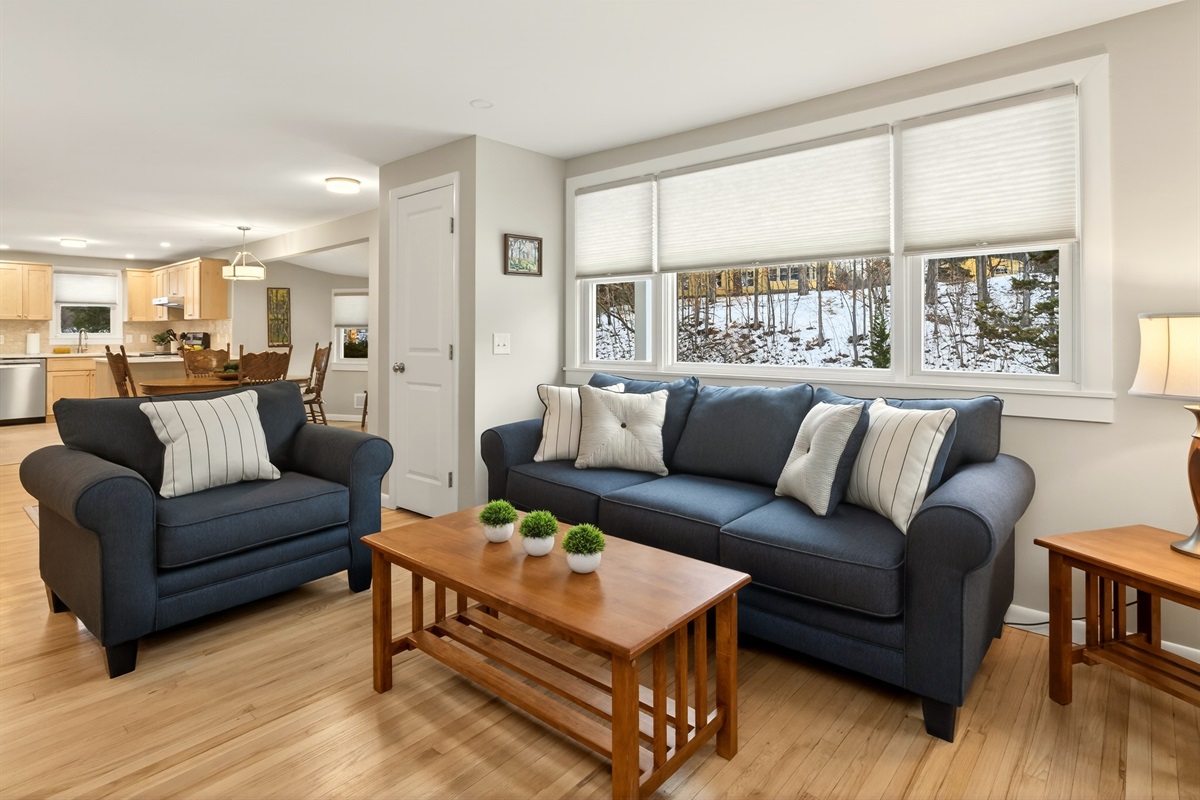 Cozy living room main floor