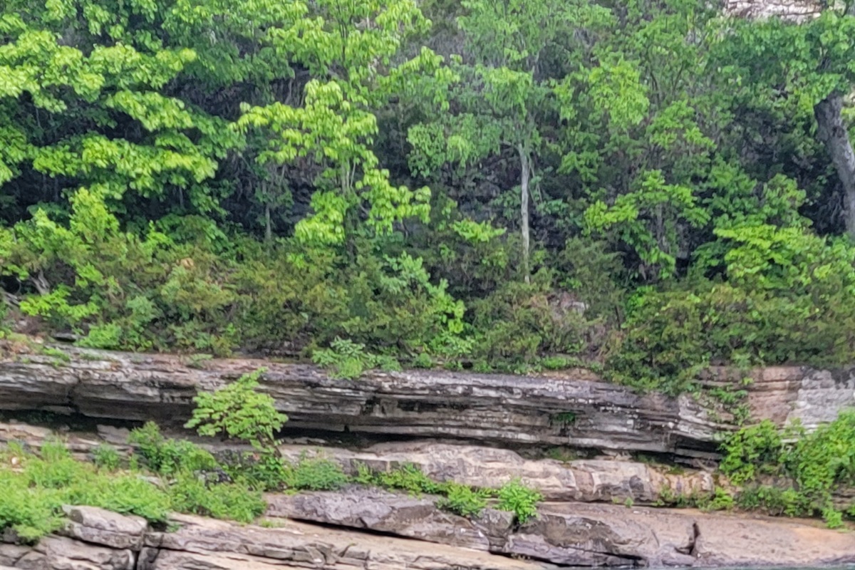 Buffalo River 4.4 miles from Nature's Loft
