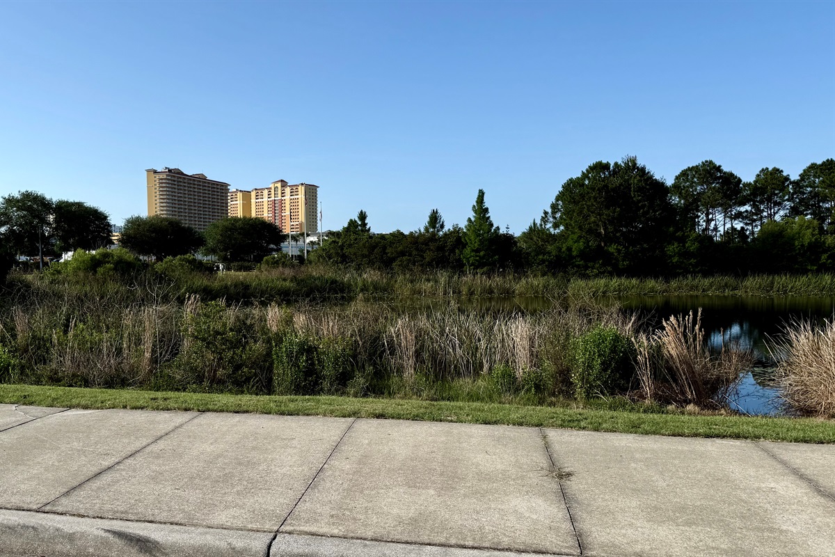 Aaron Bessant Park just a short walk with many activities, festivals and miles of walking trails