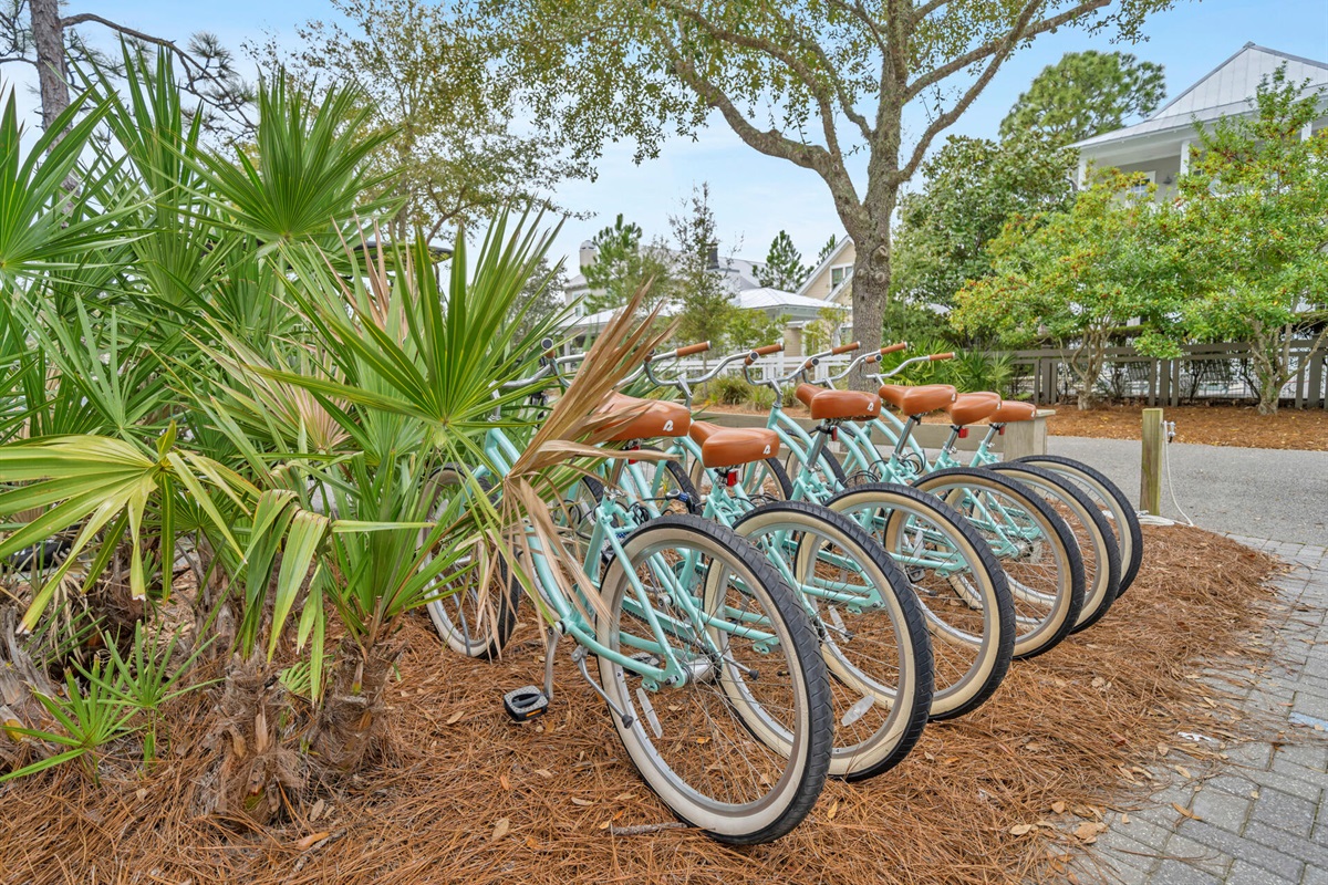 Explore WaterColor&rsquo;s scenic paths and nearby shops on two wheels.