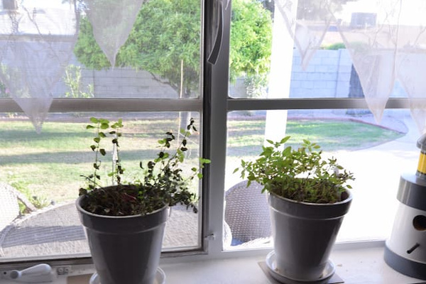 Cottage Kitchen Window