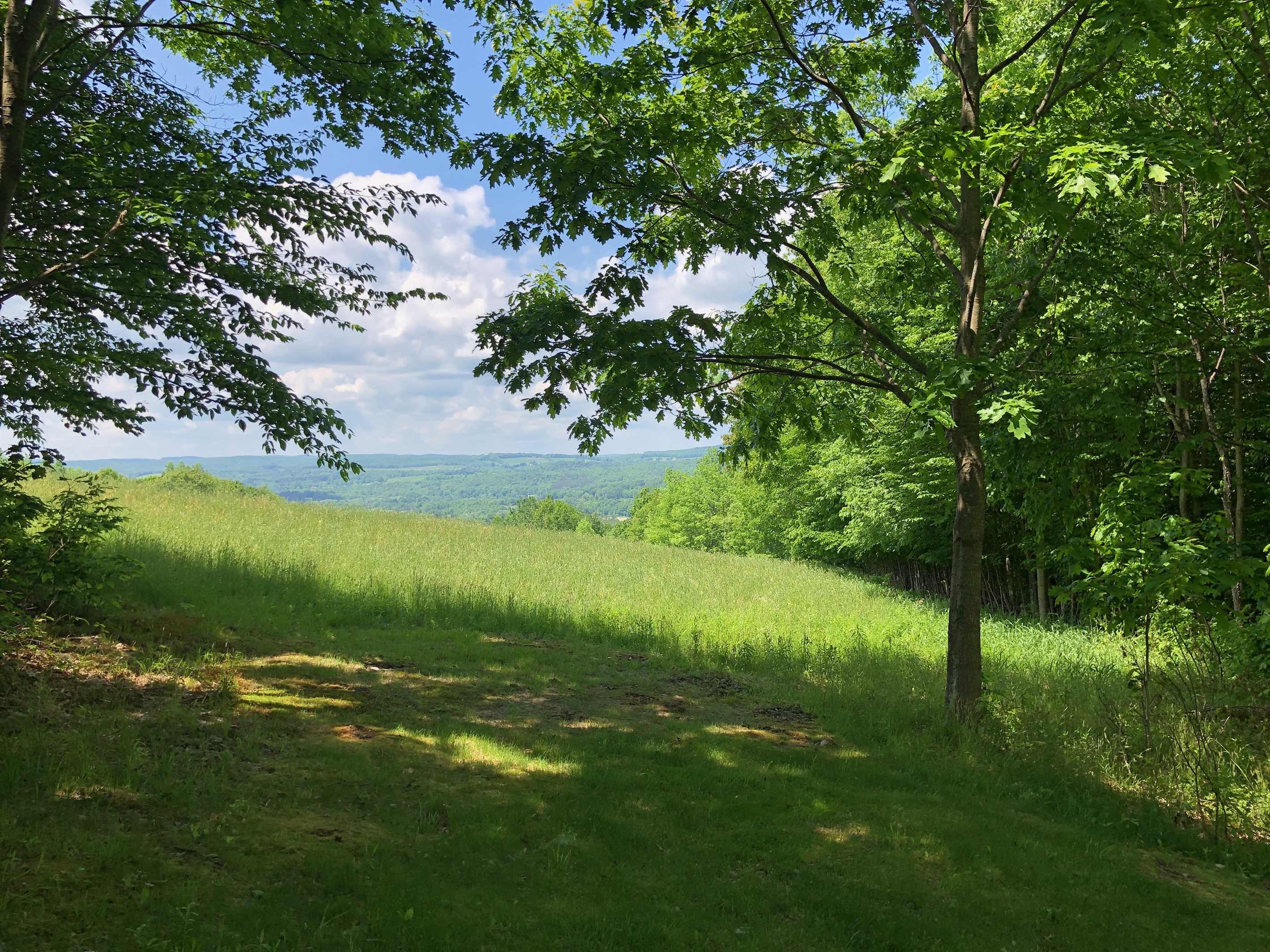 Zoomed in view of the rolling hills.