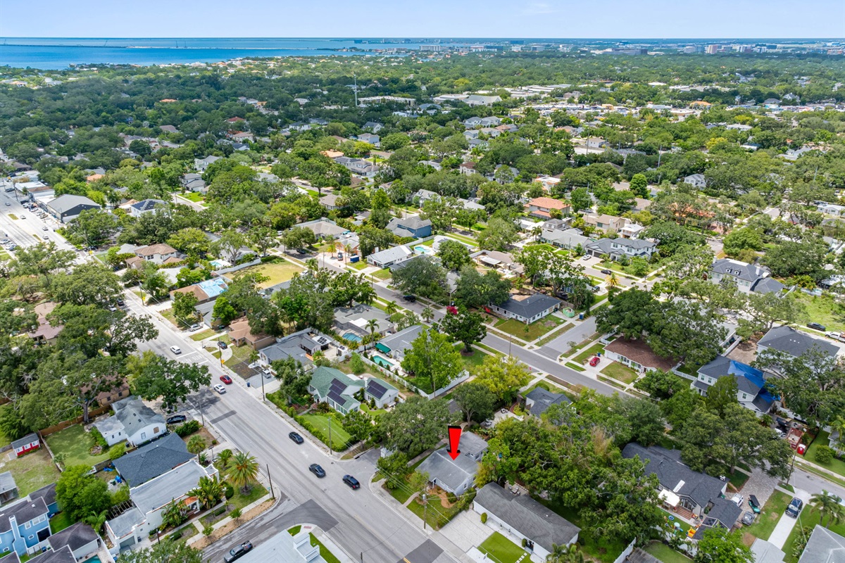 Aerial View of the Neighborhood