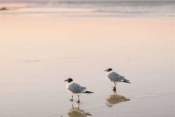 Beach