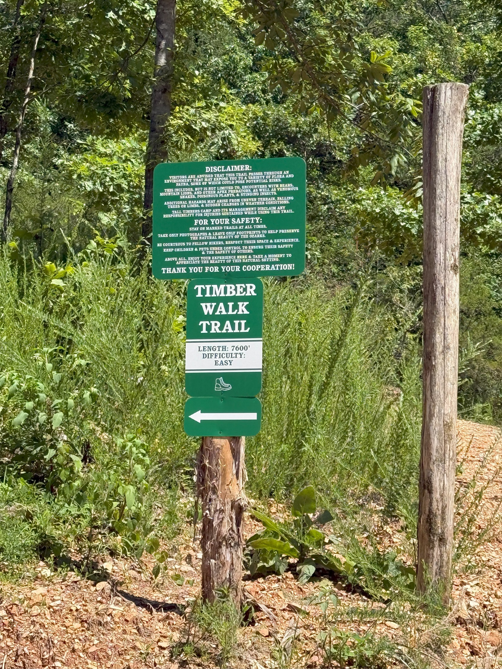 Our cabin is directly across from one of the Tall Timbers Camp hiking trails!