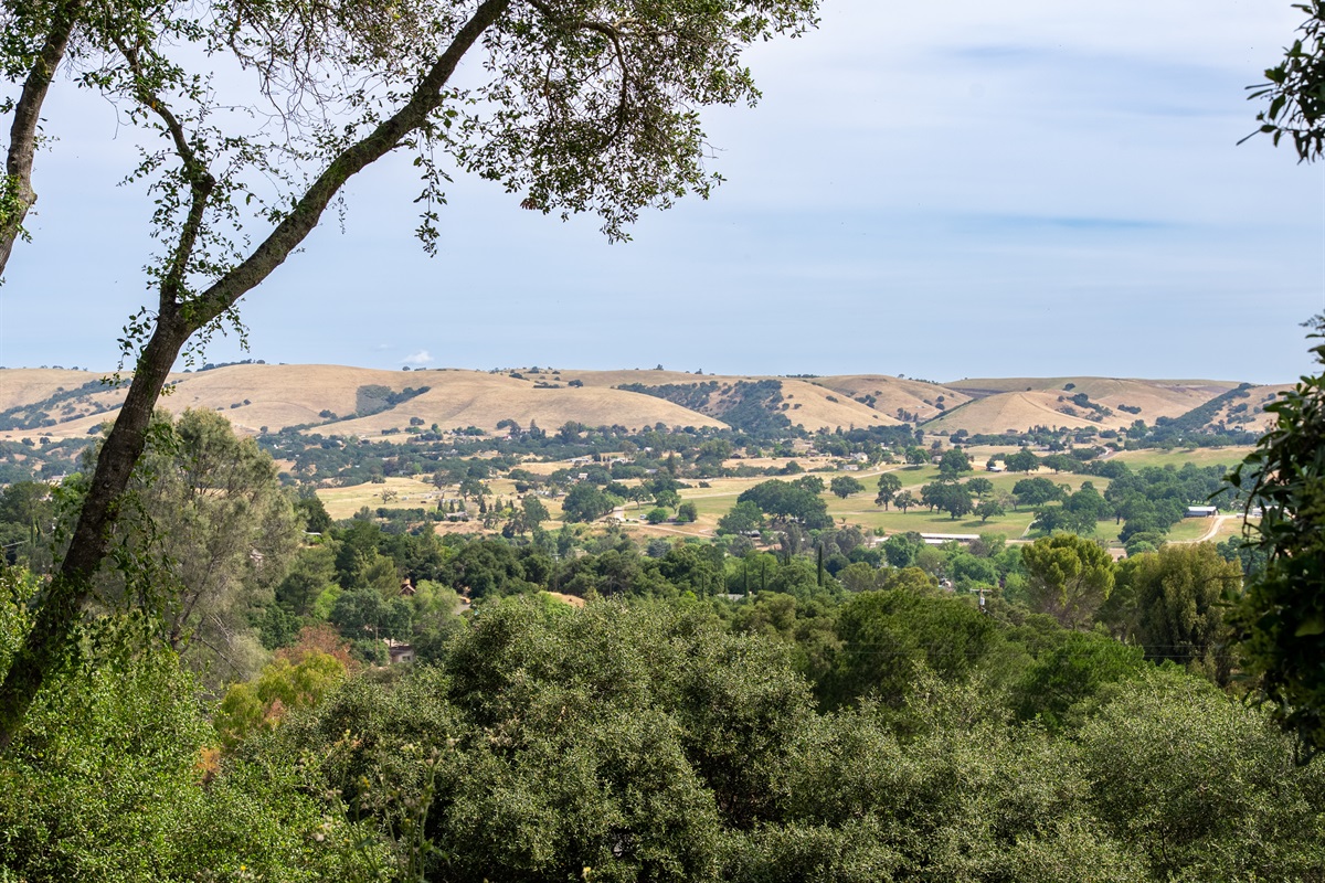 Come experience the slower pace of wine country living. 