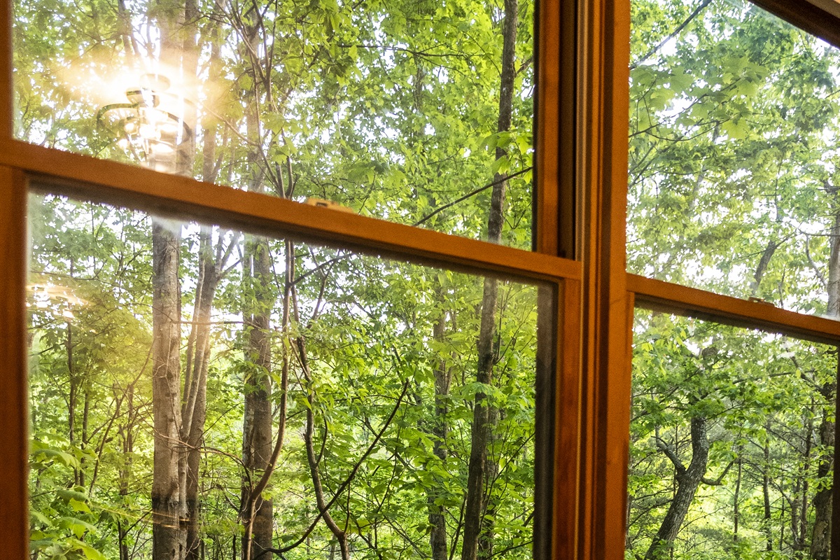 All of the windows have beautiful views of trees