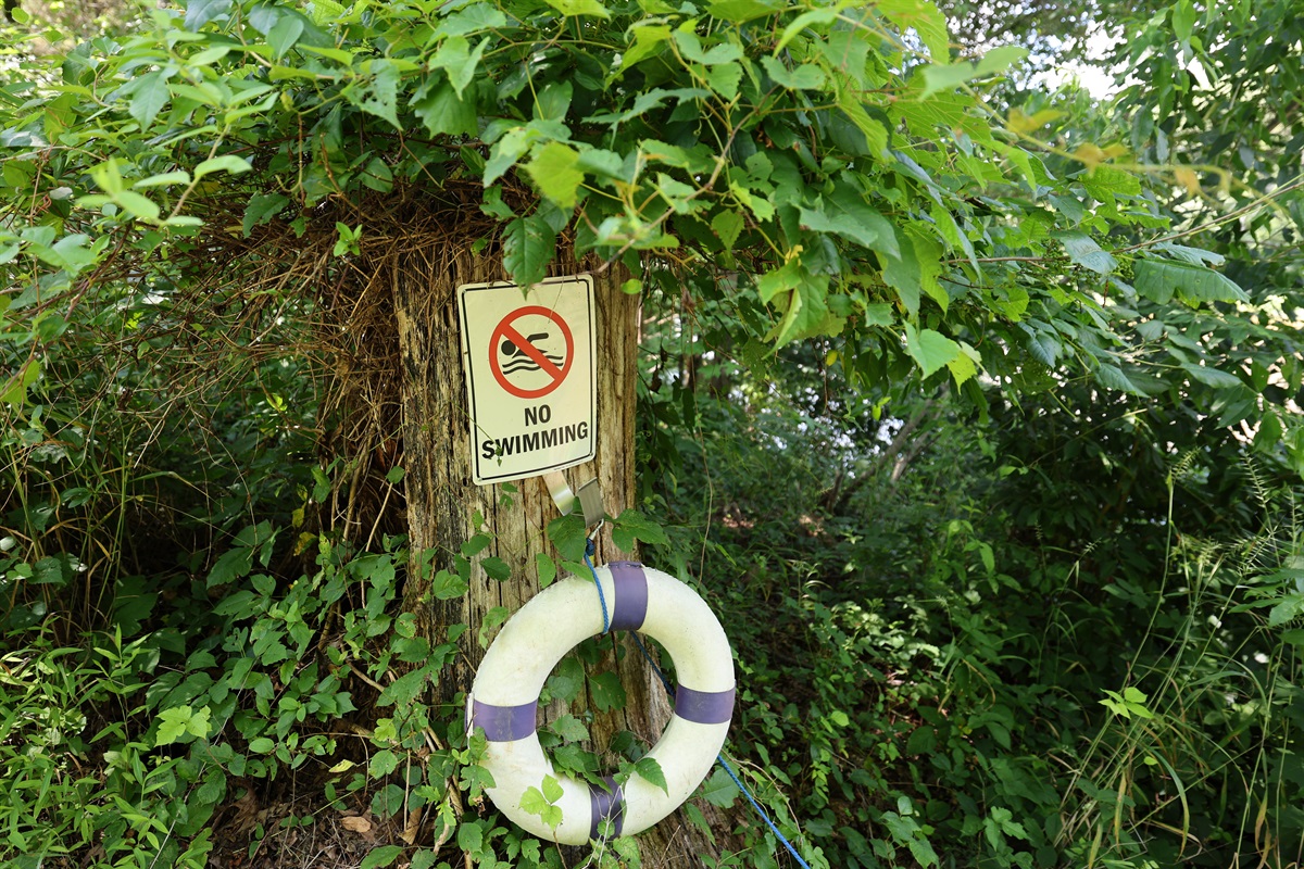No swimming in the river
