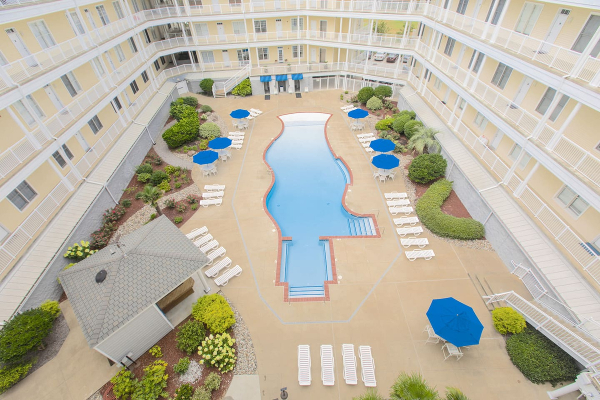 ‍♂️ Tropical Oasis Pool Vibes! ☀️