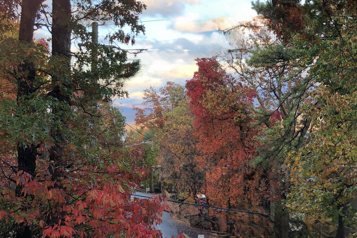 FALL UPPER DECK VIEW