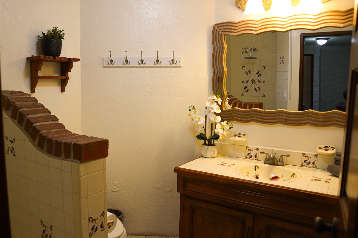 Downstairs Guest Bathroom