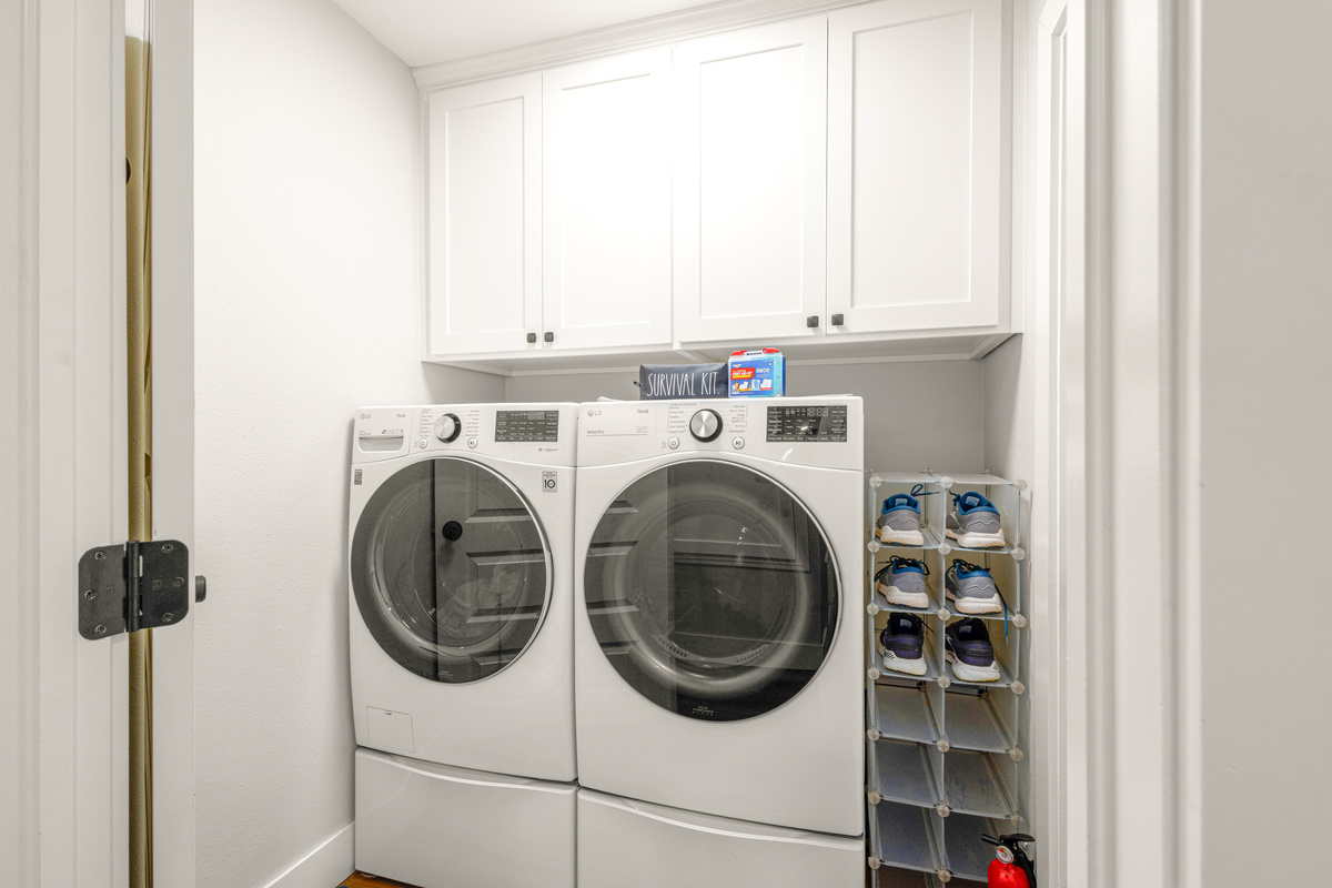 Louise "Oversized Washer/Dryer and every detergent" April 2024