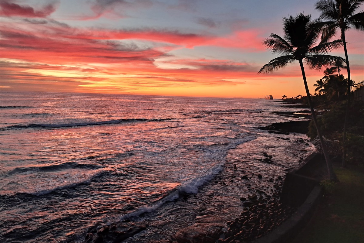 View from Banyan Tree