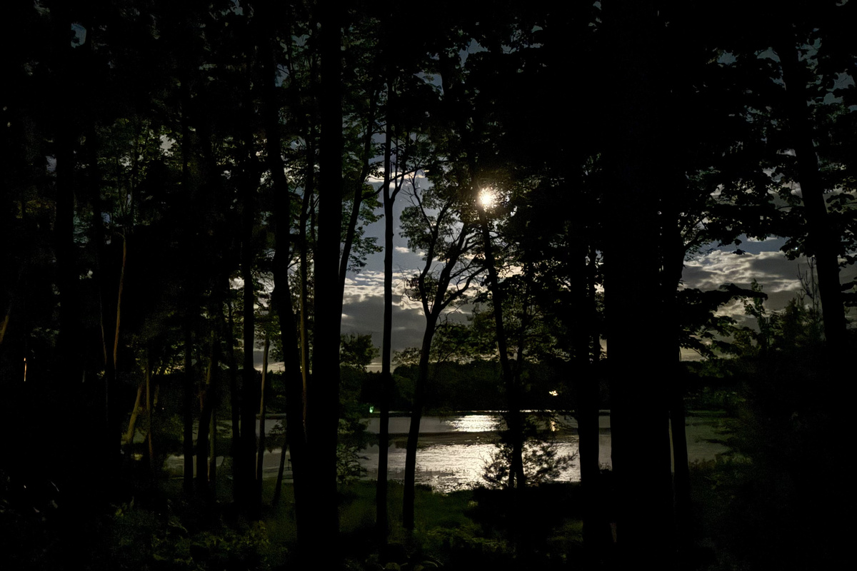 Moonshine reflecting off the water on Lower Holly Lake.
