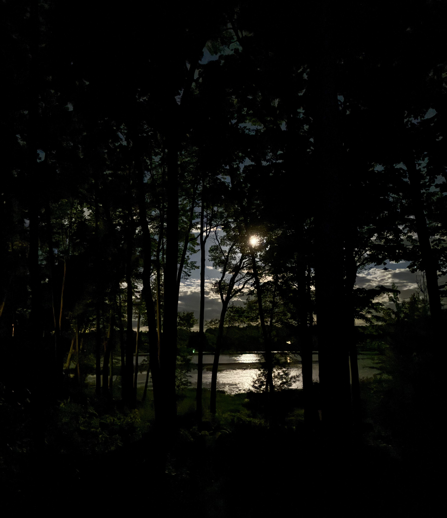 Moonshine reflecting off the water on Lower Holly Lake.