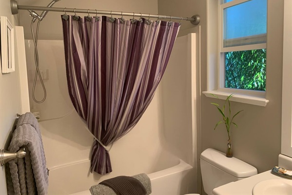 Bright bathroom with a tub and shower