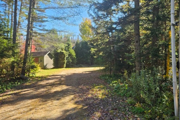 This is the driveway that leads you up to the home! 