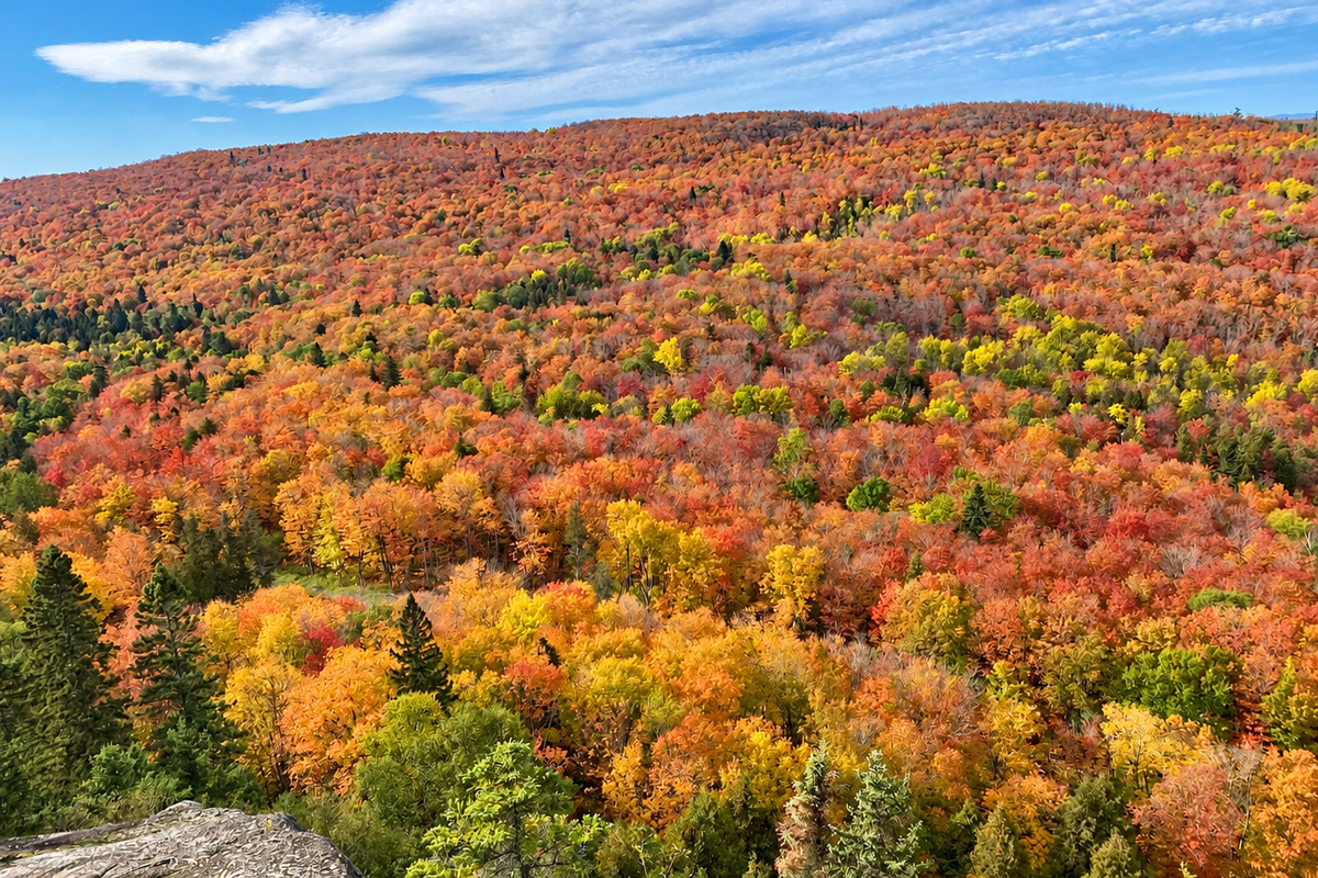Take the gondola and chase fall colors without hiking.