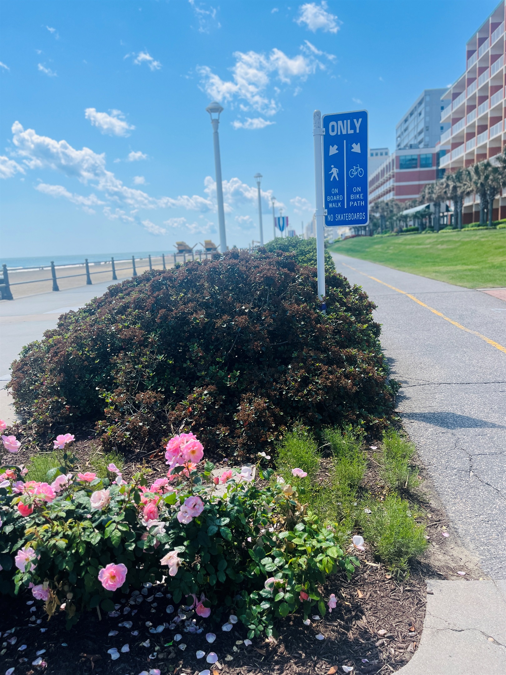 End of the boardwalk