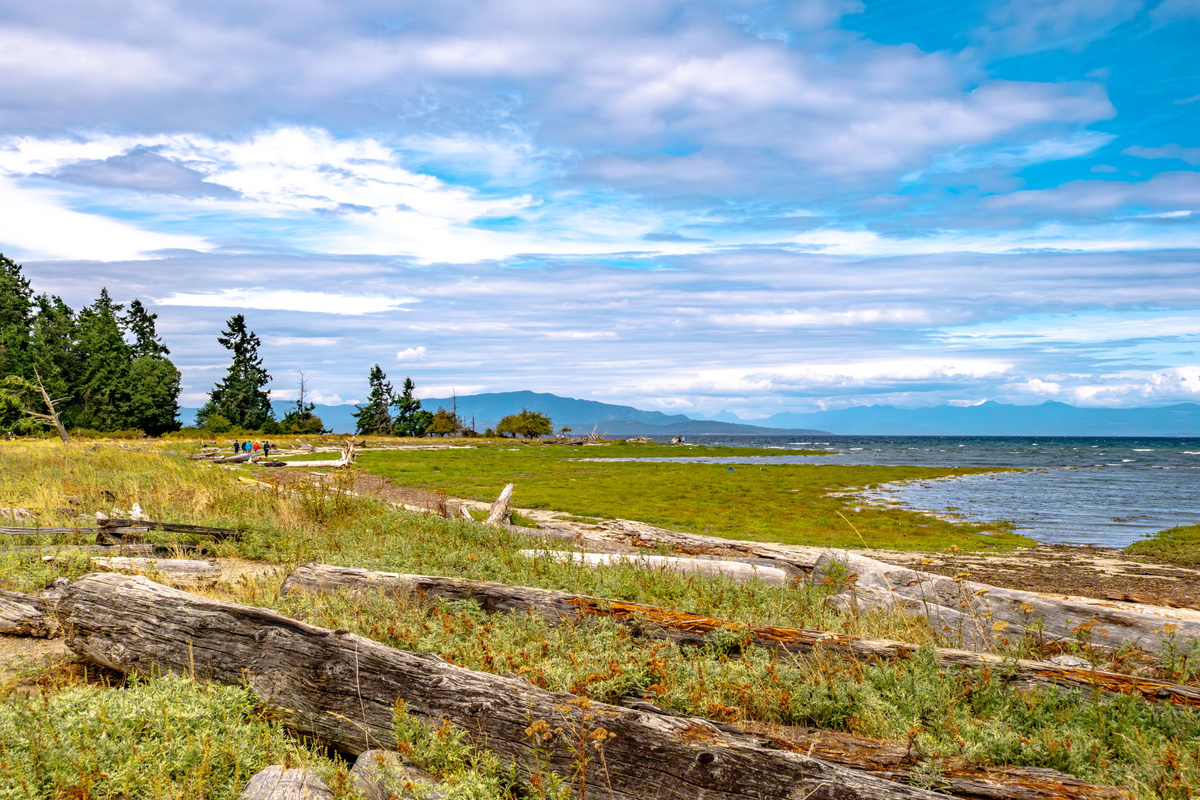 Rathtrevor Beach is just a 5-minute drive or about a 15-minute walk away.