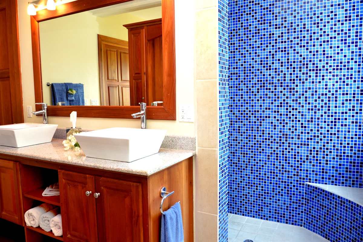 Main Bathroom Shower