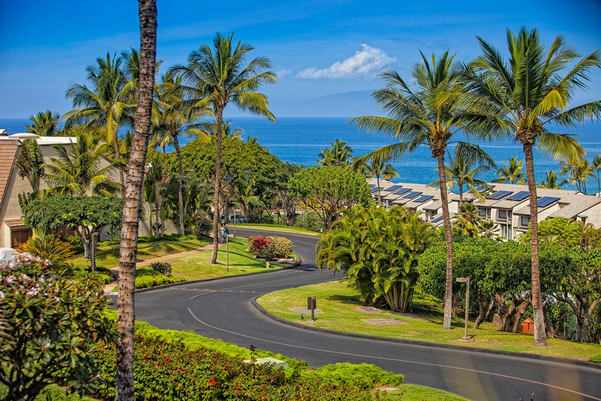 Beautiful driveway showing ocean and beaches across the street
